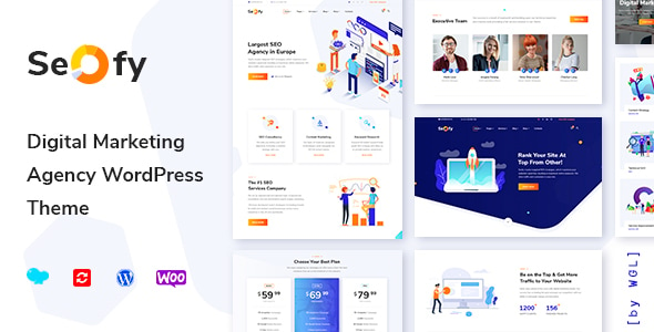 免费下载Seofy v1.6.9—数字与营销 WordPress 主题（已破解）-徐道博客