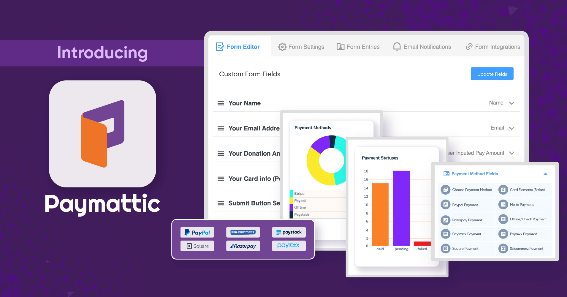 Paymattic Pro v4.6.2 — WordPress 支付与捐赠插件-徐道博客
